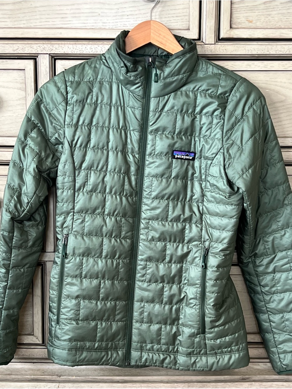 Patagonia Women's Sage Green Jacket